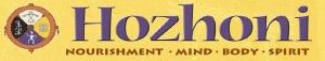 hozhoni-wordpress-banner-1260x2402